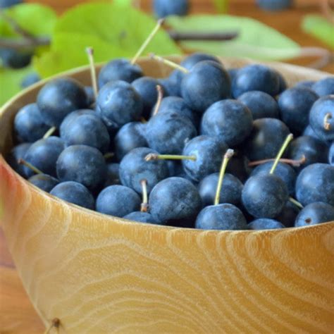 20 Naturally Blue Fruits (+ Foods List) - Insanely Good