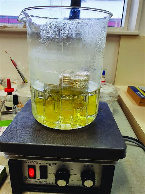 Canola Petals Clearing In A 70 Ethanol Solution Containing 001 Wv