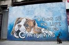 Dogs Trust Celebrates 35 Year Of ‘A Dog Is For Life’ Slogan With Street ...