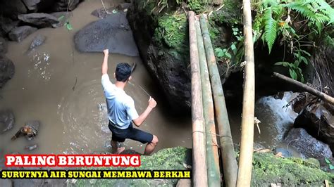 Umpan Ini Emang Paling Bagus Untuk Segala Jenis Ikan Predator Sungai