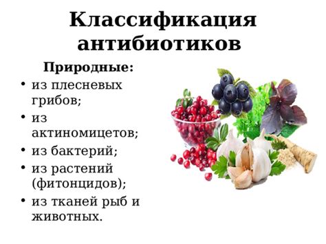 Презентация проекта «Влияние антибиотиков на живые организмы».