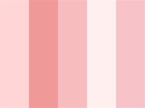 Palette Beige Pink Powder Color Palette Pink Beige Pink