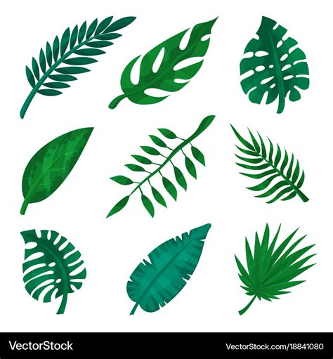 Green Tropical Leaf Set Palm Leaves Royalty Free Vector