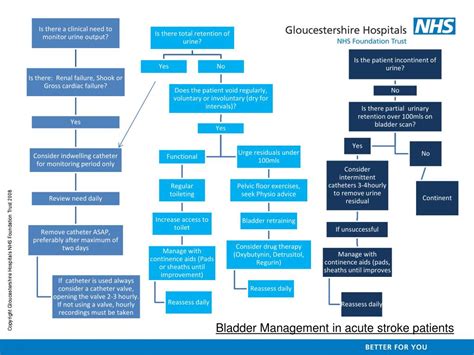 Ppt Continence Management After A Stroke Powerpoint Presentation Free Download Id 303052