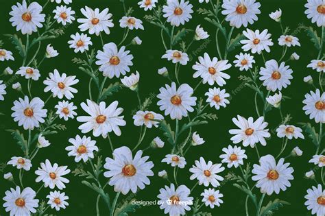 Premium Vector | Daisies decorative background watercolor design