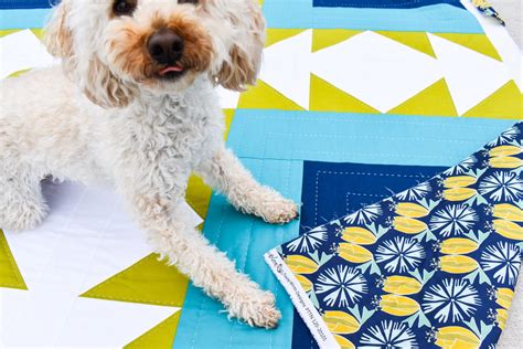 Dogs on Patchwork & Poodles Quilts! - Patchwork and Poodles