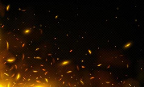 Fire Sparks Vector Art, Icons, and Graphics for Free Download