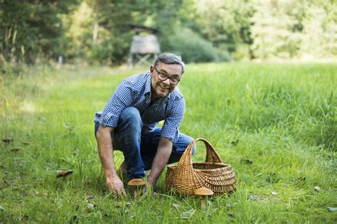 Happy Mature Man Picking Up Mushroom While Crouching On Grass In Forest