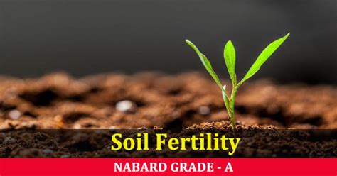 Soil Fertility Explained | Factors affecting Soil Fertility - Paper Tyari