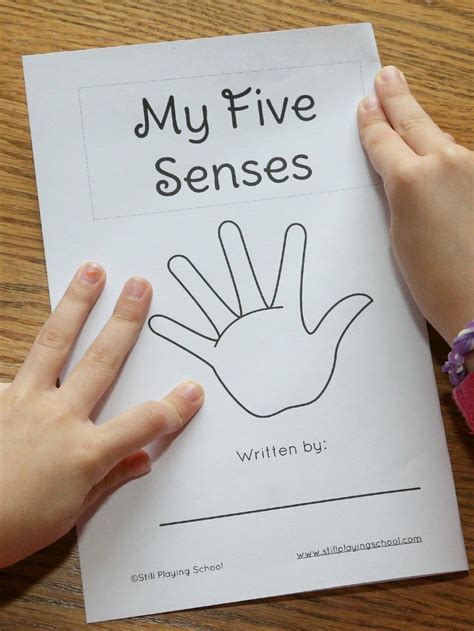 My Five Senses Book For Kids My Five Senses Senses Preschool Senses