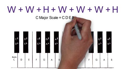 Tutorial 3 How To Create A Major Scale Western Music Theory Youtube