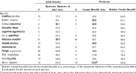 Average Transverse Diameter Of Female Pelvic Inlet Newborn Cranial