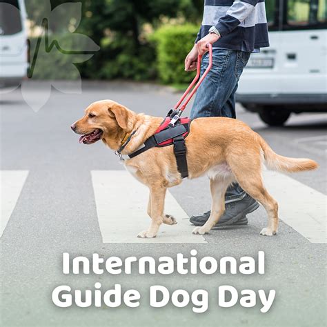 International Guide Dog Day