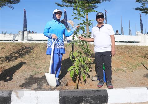 Ratusan Pohon Tabebuya Bakal Ditanam Saat Gelaran APEKSI XVI Di Makassar