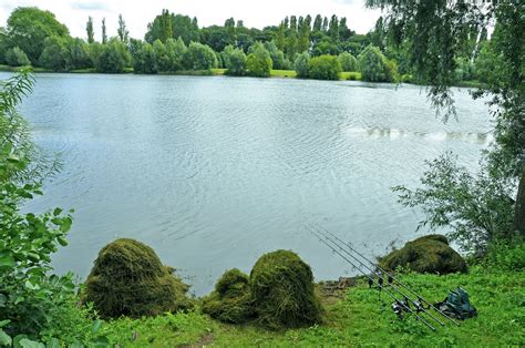 Carp Fishing In Weed How To Combat It Like The Pro S Carpworld