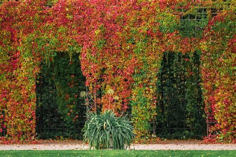 Pergola Sheets Autumn Colors - Free photo on Pixabay