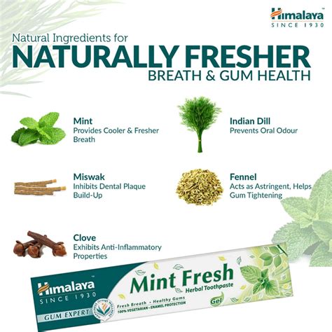 Himalaya Herbal Gum Expert Mint Fresh Toothpaste Himala