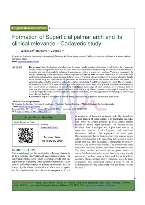 Formation Of Superficial Palmar Arch And Its Clinical Relevance