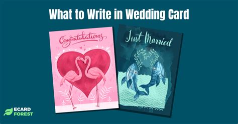 What To Write In A Wedding Card 25 Message Ideas