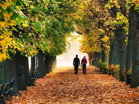 Herbstspaziergang Foto And Bild Erwachsene Menschen Alltagsereignisse