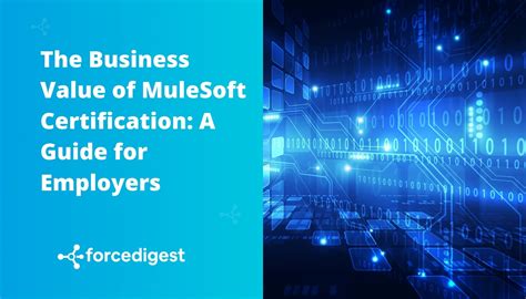 The Business Value Of Mulesoft Certification A Guide For Employers