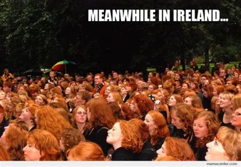 50 Of The Most Epic Irish Memes On The Internet Ever 2020