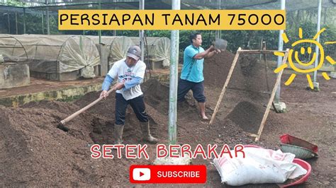 Realisasi Produksi 75 000 Benih Kopi Robusta YouTube