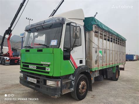 Iveco Eurocargo E Ganadero Livestock Truck For Sale Spain Lorca