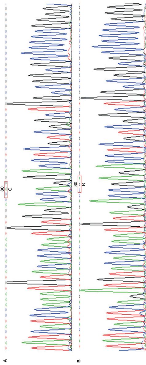 Figure S1 Chromatograms Of Sanger Sequencing Notes Chromatograms Of