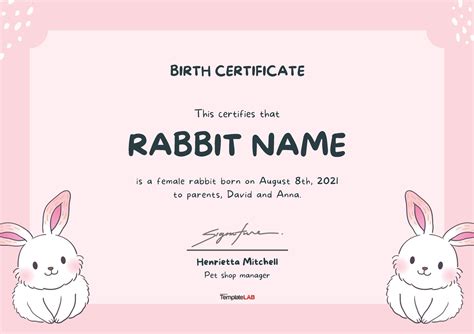 Birth Certificate Templates Word Ppt Pdf Templatelab