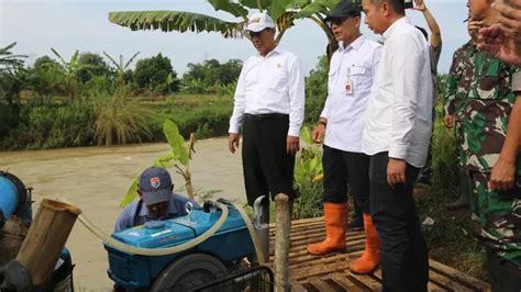 Mentan Amran Pompanisasi Bisa Tingkatkan Produksi Petani 200 Persen