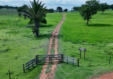 Fazendas Direto O Propriet Rio Na Zona Rural Em Terenos Chaves Na M O