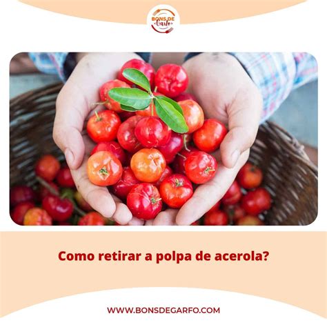 Confira Dicas Para Tirar Polpa De Acerola