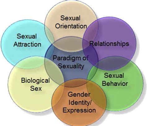 Sexual Minority Youth Primary Care Clinics In Office Practice