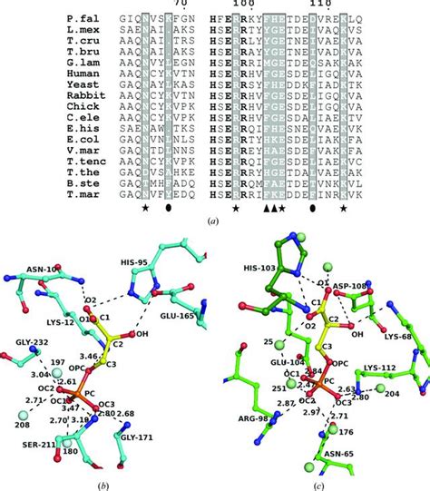 Iucr Biochemical And Structural Characterization Of Residue