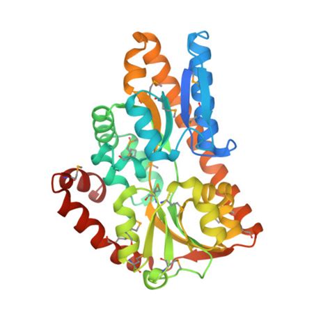 RCSB PDB 4PF8 CRYSTAL STRUCTURE OF A TRAP PERIPLASMIC SOLUTE BINDING