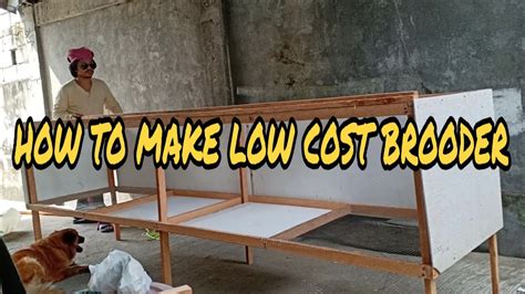 How To Make Low Cost Brooder Free Range Chicken Youtube