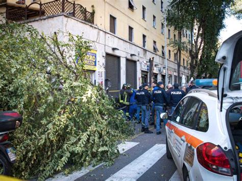 Accuse Al Comune Per La Morte Della Donna Schiacciata Da Un Albero A