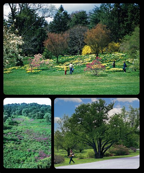 Arnold Arboretum Turns Harvard Magazine