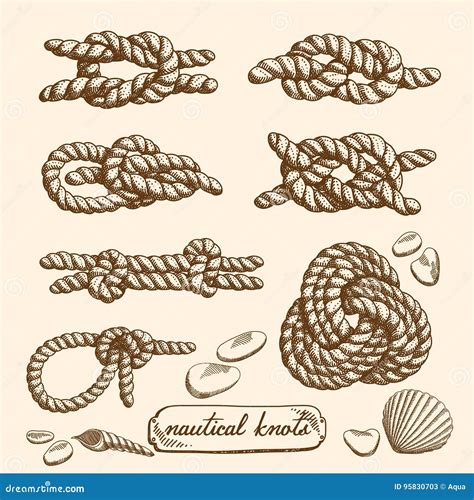 Set Of Nautical Knots Stock Vector Illustration Of Freehand 95830703