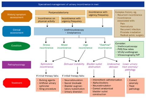 Assessment And Treatment Of Urinary Incontinence The Lancet