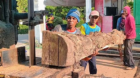 Menggergaji Kayu Jati Kering Mesin Bandsaw Rakitan Youtube