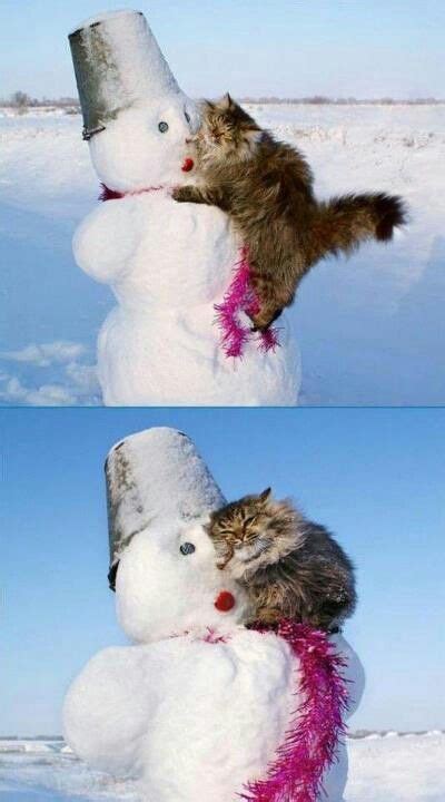 Snowman Cat Love Baby Animals Funny Animals Cute Animals Funniest