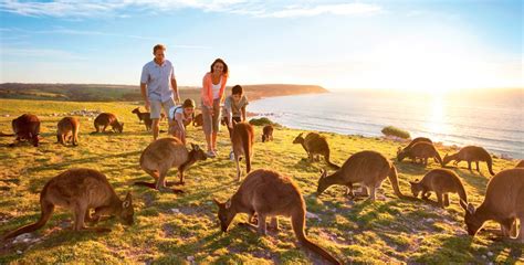 Nova Zelandia E Australia - Roteiro de 14 dias: Austrália e Nova Zelândia | Agência PRIMETOUR