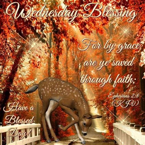 Wednesday Blessing Wednesday Happy Wednesday Wednesday Blessings