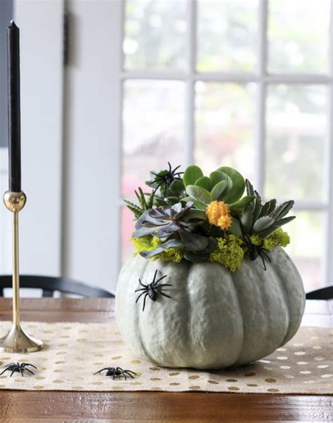 Succulent Pumpkin Planter Easy DIY Halloween Decorations POPSUGAR