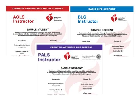 Bls Acls Pals Cpr First Aid Stat Med Training