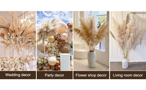 12 Stems 46 Tall Natural Pampas Grass Decor Large Pompas Grass Fluffy Pampas