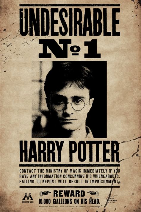 Wall Art Print Harry Potter Undesirable No 1 Gifts Merchandise