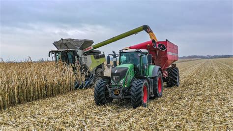 Claas Lexion Mit Reiher Mais Dreschen Youtube